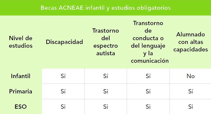 Tabla-de-información-ACNEAE-CertificadoElectronico.es