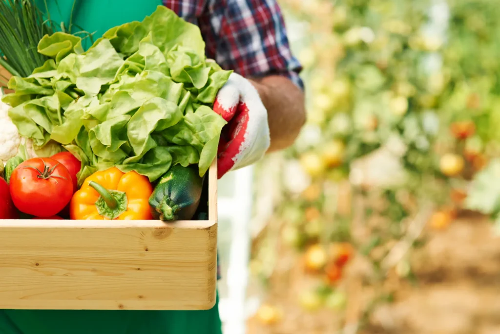 caja de verduras - productos fitosanitarios - CertificadoElectronico.es