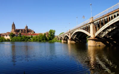 Trámites online, ¿necesitas ayuda? CyL Digital está contigo