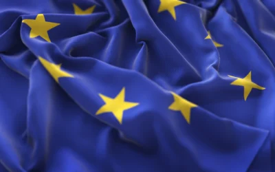 Reglamento UE sobre digitalización y notificaciones de los Estados miembros